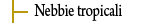 Nebbie Tropicali